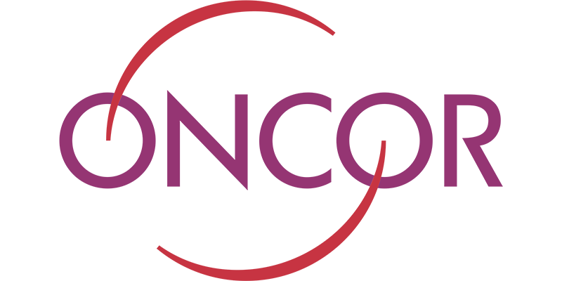 cheapest rates and plans in the Oncor Energy area in Texas