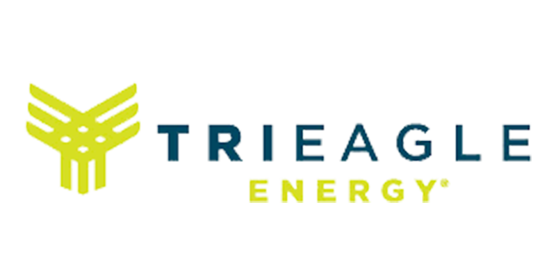 cheapest TriEagle Energy Electricity rates and plans in Texas